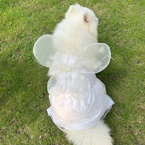 狗狗婚纱中大型狗狗婚纱礼服公主裙萨摩金毛拉布连衣裙狗狗裙子