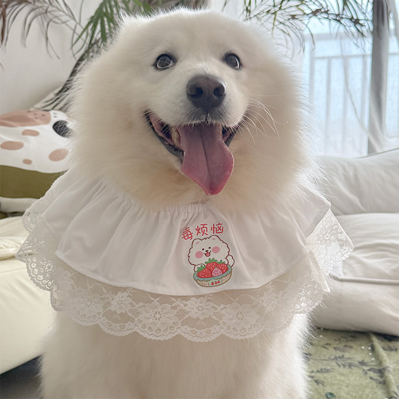 小中大型犬围兜狗狗口水围巾萨摩耶金毛可爱哈士奇阿拉斯加围脖