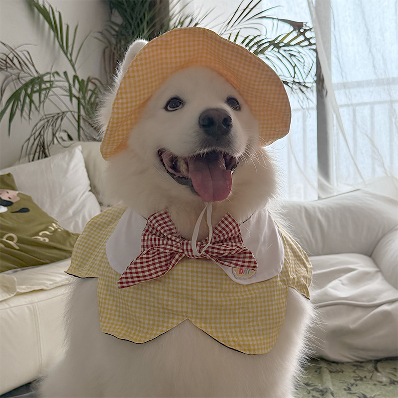 大型犬可爱帽子狗狗宠物外出防晒太阳帽遮阳帽金毛耳朵猫咪渔夫帽