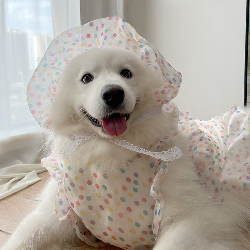 狗狗衣服防掉毛中型大型犬拉布拉多萨摩耶哈士奇边牧柴犬帽子衣服