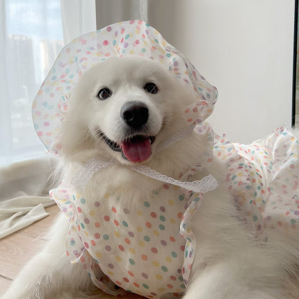 狗狗衣服防掉毛中型大型犬拉布拉多萨摩耶哈士奇边牧柴犬帽子衣服