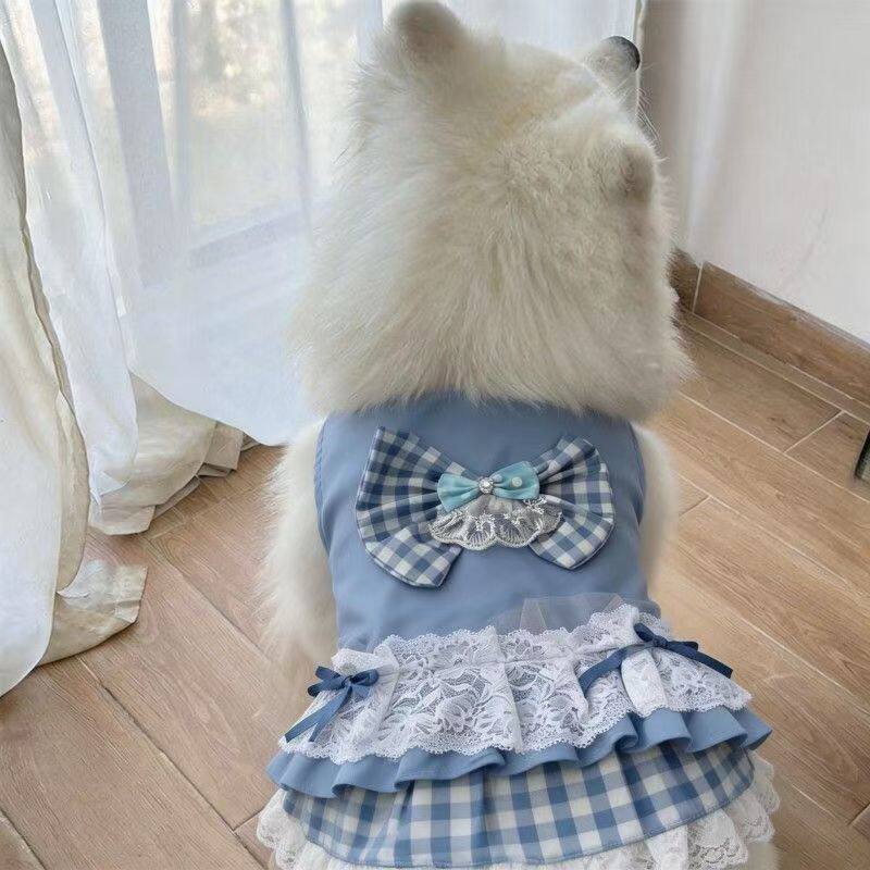 2026新款衣服宠物狗狗可爱裙子大中小型犬萨摩耶拉布拉多拍摄裙子