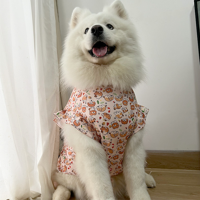 2025新款春夏款小中大型犬萨摩耶金毛边牧拉布拉多裙子拍摄装饰