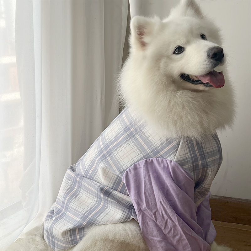 春夏季新款狗狗护肘衣服萨摩耶金毛拉布拉多边牧宠物保护外出衣服