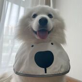 2024新款 ins网红新款 宠物圆兜狗狗围兜口水巾围脖萨摩哈士奇金毛