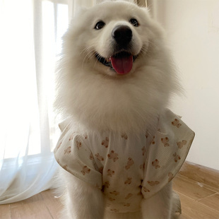 宠物衣服大中小型犬萨摩耶哈士奇小熊心心款 狗狗衣服新款 图案裙子