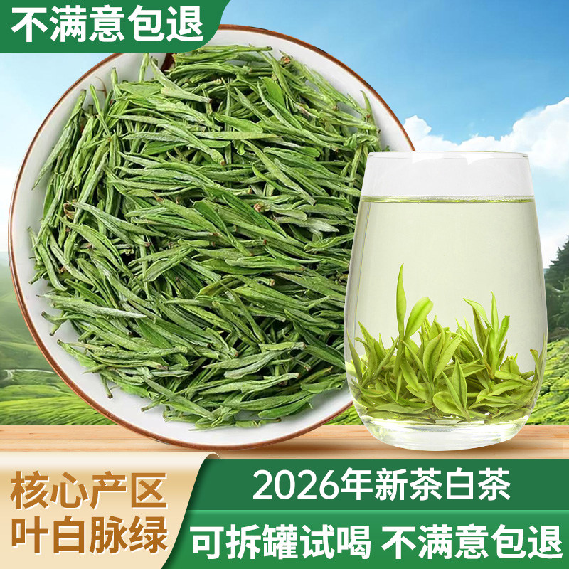 【试喝款】白茶A2级茶叶自己喝绿茶2026新茶正宗安吉明前春茶高山