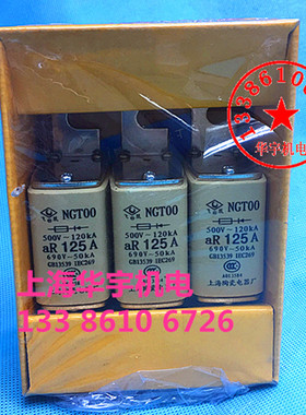 飞凰牌 NGT00-63A80A100A125A160A690V独立式安装快速熔断器NGTOO