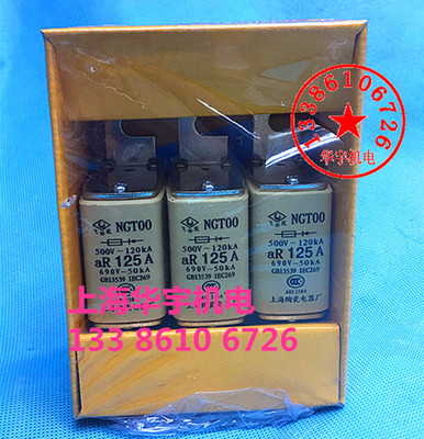 飞凰牌 NGT00-63A80A100A125A160A690V独立式安装快速熔断器NGTOO