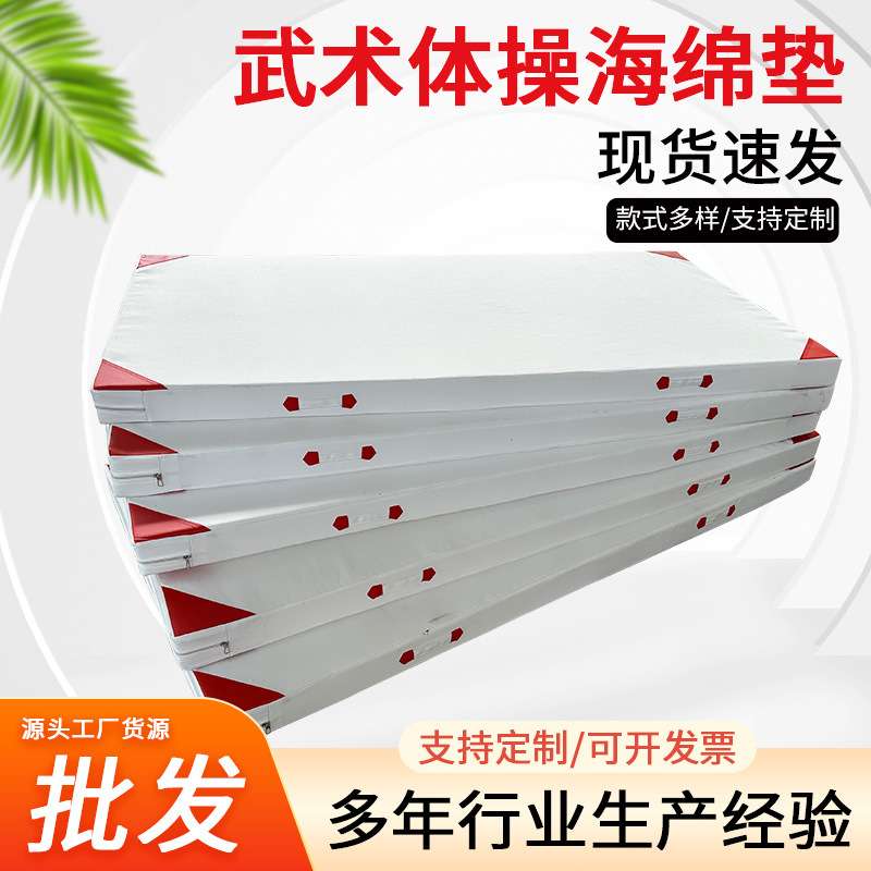 武术垫体操跆拳道垫武馆练功垫体育训练垫子海绵垫防滑环保材质
