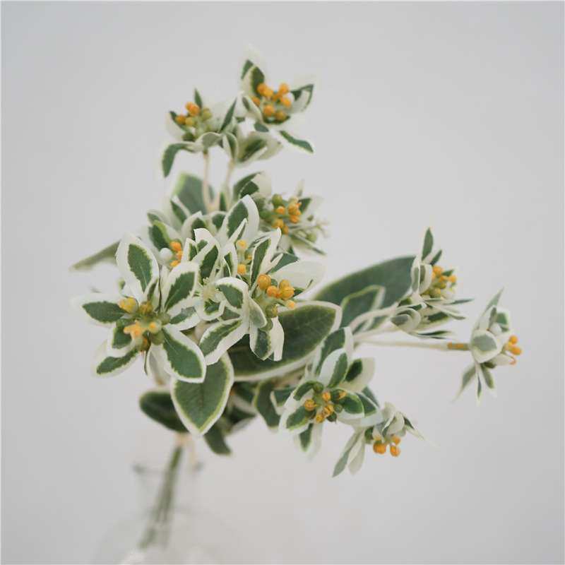 小清新自然高质仿真花束把束鸣子叶高山积雪餐桌装饰花艺婚庆假花,家居饰品,仿真花/假花,淘宝优惠券,粉丝福利购,淘宝优惠卷