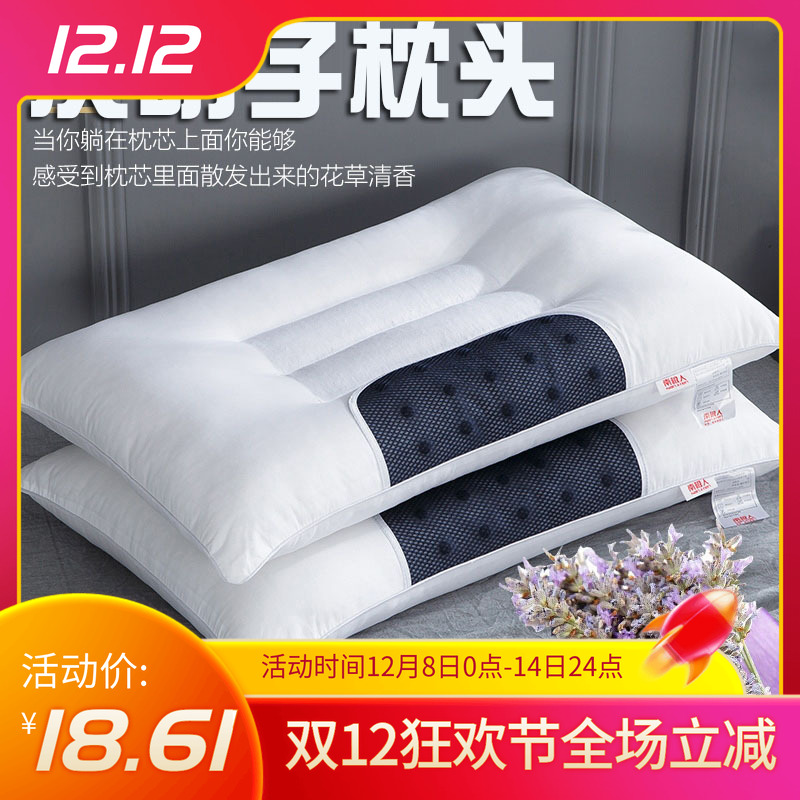 整头枕头枕芯加枕套平矮低枕薄款偏硬荞麦皮决明子一对装家用柔软