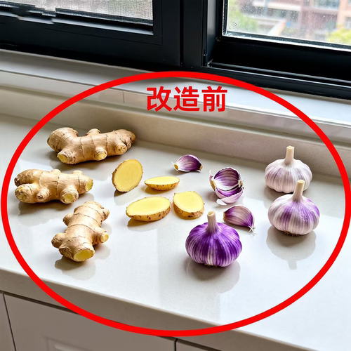吸盘葱姜蒜收纳盒厨房置物架生姜大蒜收纳神器免打孔微波炉清洁器