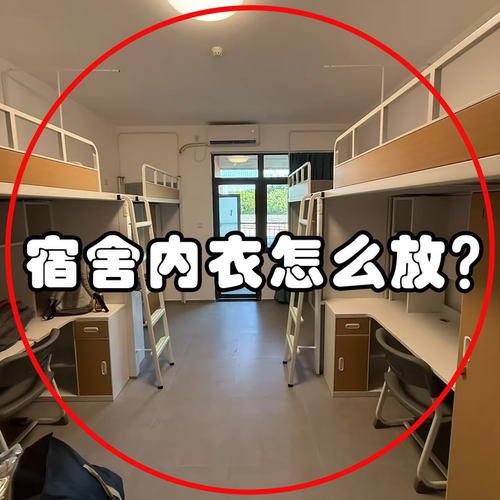 学生宿舍用品开学必备好物内衣袜子收纳袋悬挂置物纳物挂门置物架