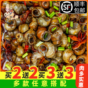 青岛吧唧小厨麻辣田螺即食罐装捞汁熟食香辣生腌下酒小食嗦螺夜宵