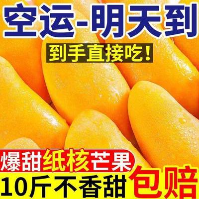 海南金煌芒新鲜水仙芒果10斤装整箱薄皮当季孕妇水果果园直发包邮