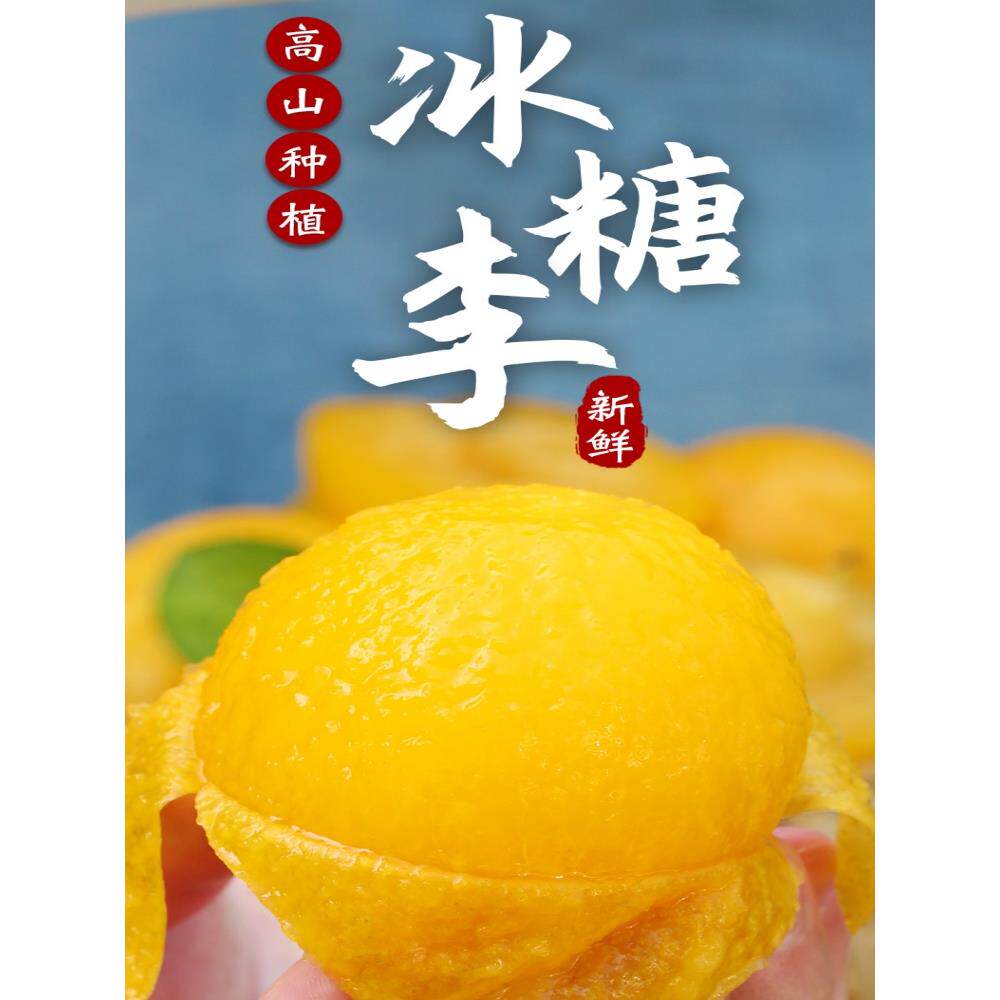 四川蜂糖李子果5斤冰糖李子新鲜桃花李蜂蜜黄金奈李水果整箱包邮