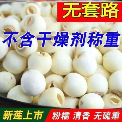莲子干货湘莲白莲子寸三莲去芯原产地去心莲米24年优质连子绿色