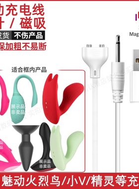 针式充电线磁吸磁性充电器魅动火烈鸟专用magicmotion电源数据线