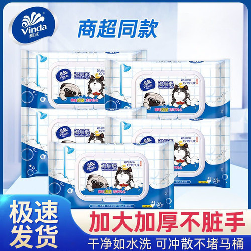 维达湿厕纸40片*5包便携装