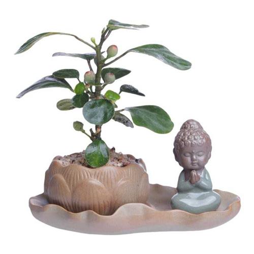 苔藓球室内绿植陶瓷花盆托盘底座禅意摆件茶宠小菩萨四不和尚沙弥
