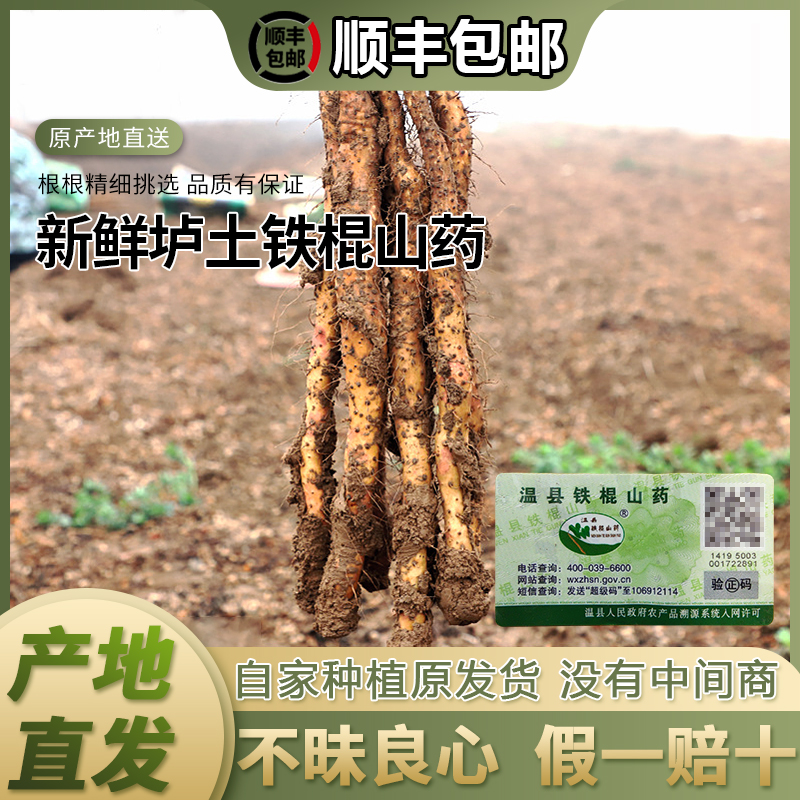 南張倫壚土鐵棍山藥自產自銷