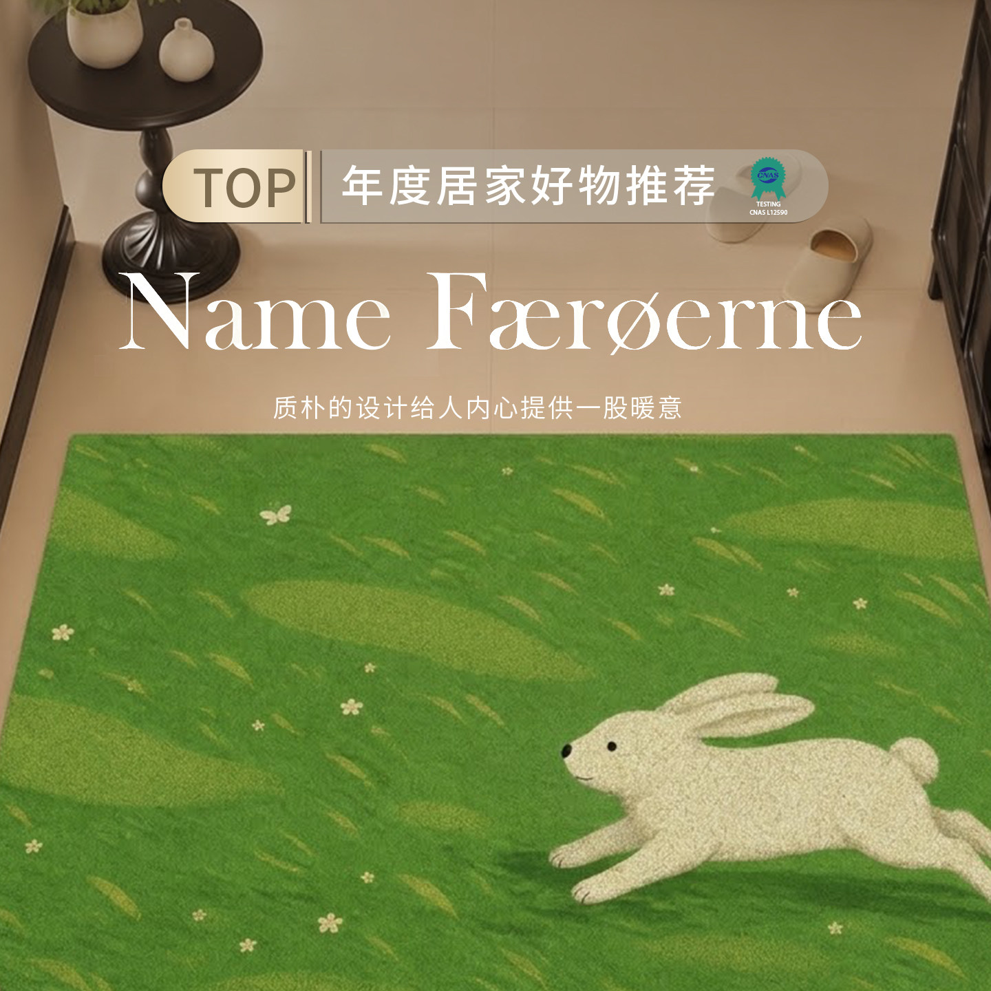 【热卖推荐】丝圈入户门地垫图片