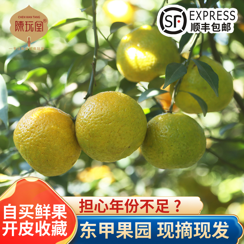 2025年东甲产区茶枝柑小青柑鲜果