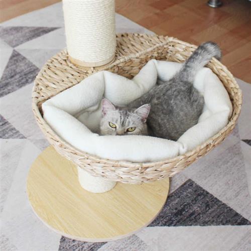 顶天立地实木通天柱猫爬架不占地猫树高层大型太空舱猫窝剑麻绳柱