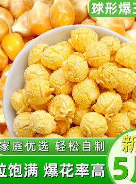 球形爆米花专用玉米粒2500g美式球豆圆球形爆米花原料5斤促销包邮