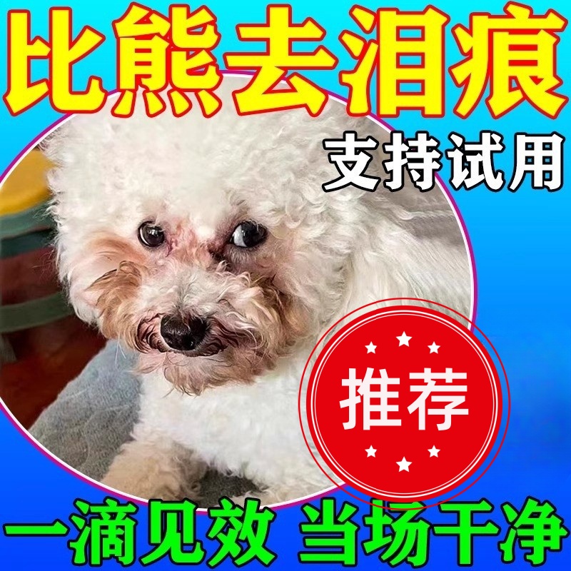 比熊去泪痕神器去除液狗狗清洁眼屎黄红胡子宠物专用滴眼液眼药水