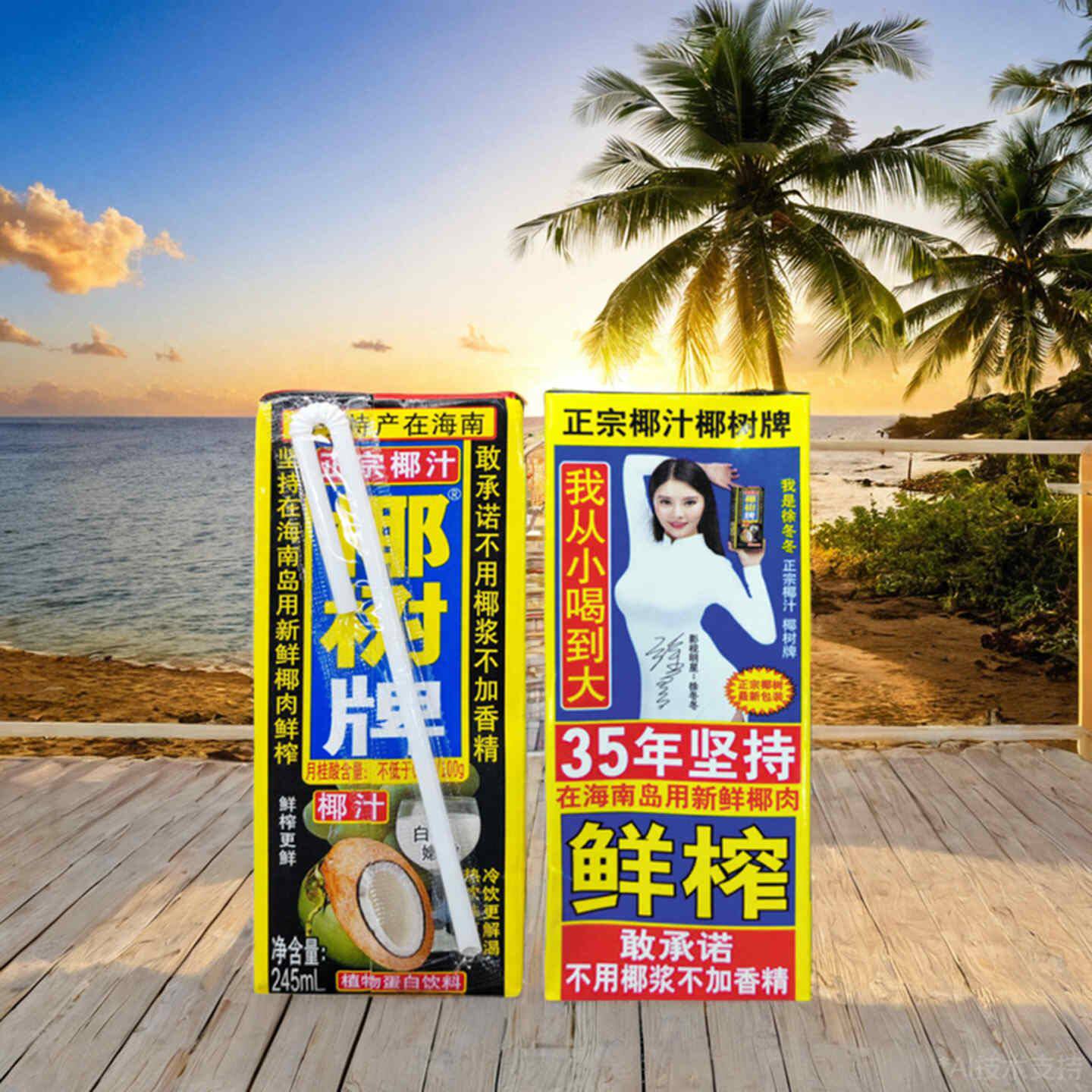 椰树椰汁椰树牌椰子汁245ml*24盒