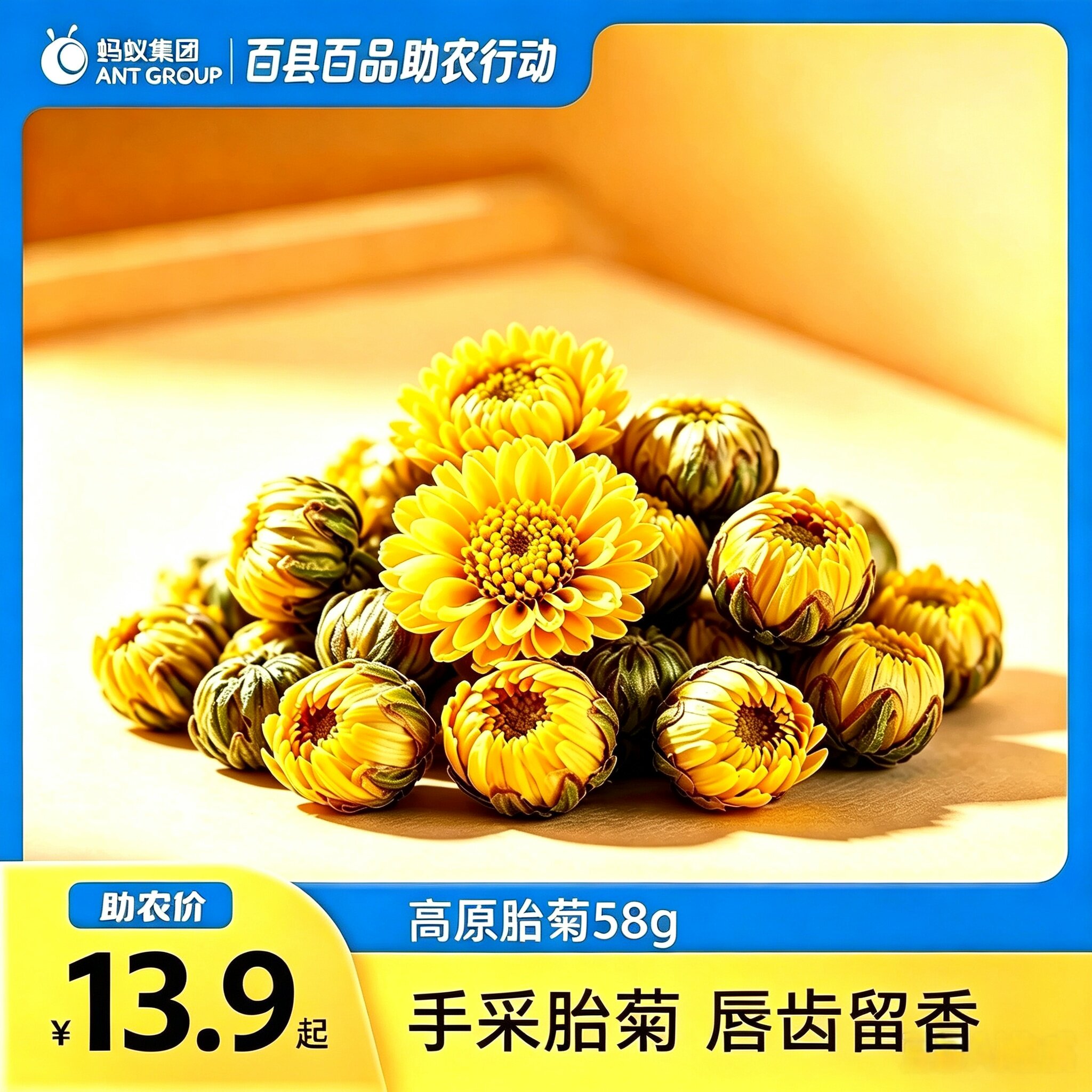 内蒙古赤峰胎菊代用茶菊花茶泡茶58g干花茶天然唇齿留香无硫冲泡图片