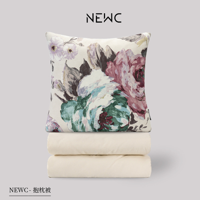 新宸优品高端新品莫奈抱枕被子两用紫色车载办公室午睡多功能抱枕