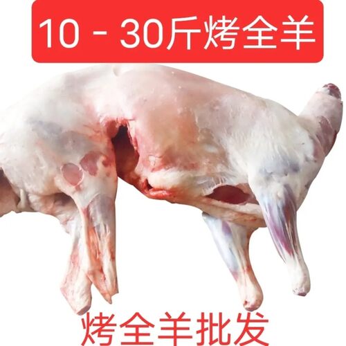 10斤30烤全羊白条整只去皮散养白条新鲜冷冻羔羊羊肉烧烤商用批发