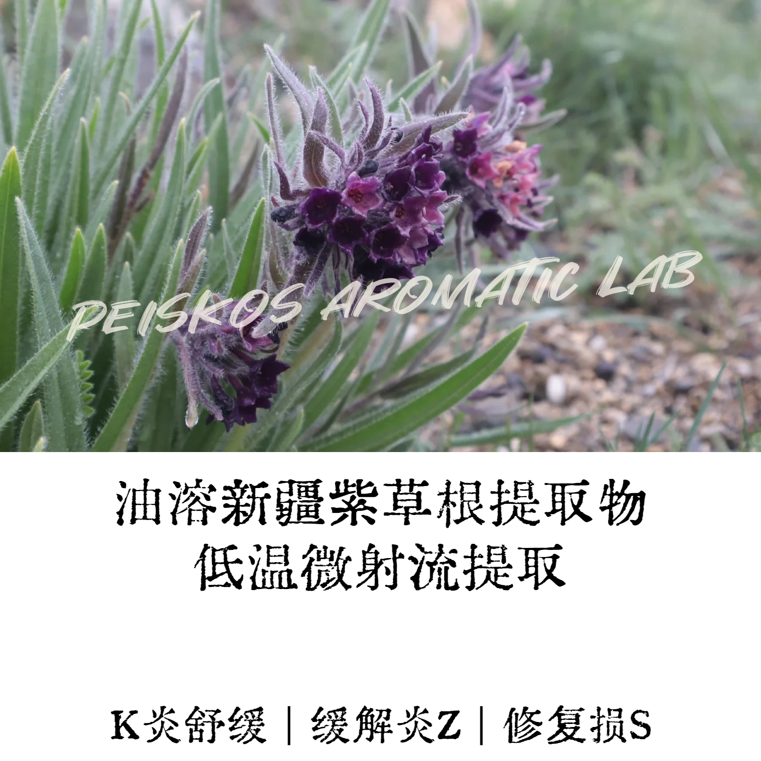 新疆油溶紫草根提取物20%高含量舒缓修护紫草膏原料非紫草浸泡油