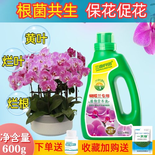 三亩良田蝴蝶兰专用营养液