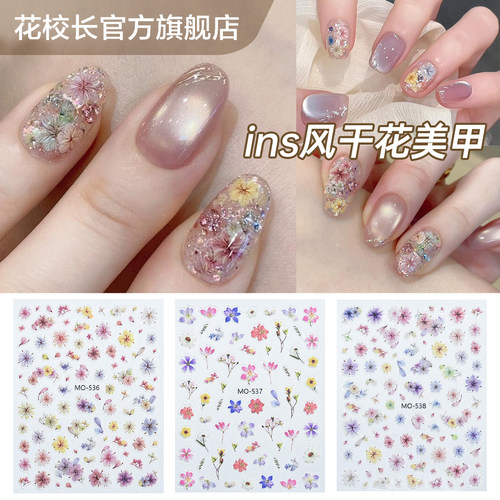 【花校长】ins风干花贴纸微浮雕网红爆款美甲喷绘贴纸法式边条纹
