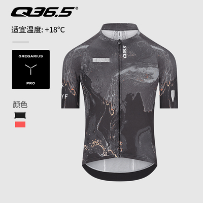 Q36.5骑行服夏季男款短袖上衣Gregarius Pro Ryf Jersey