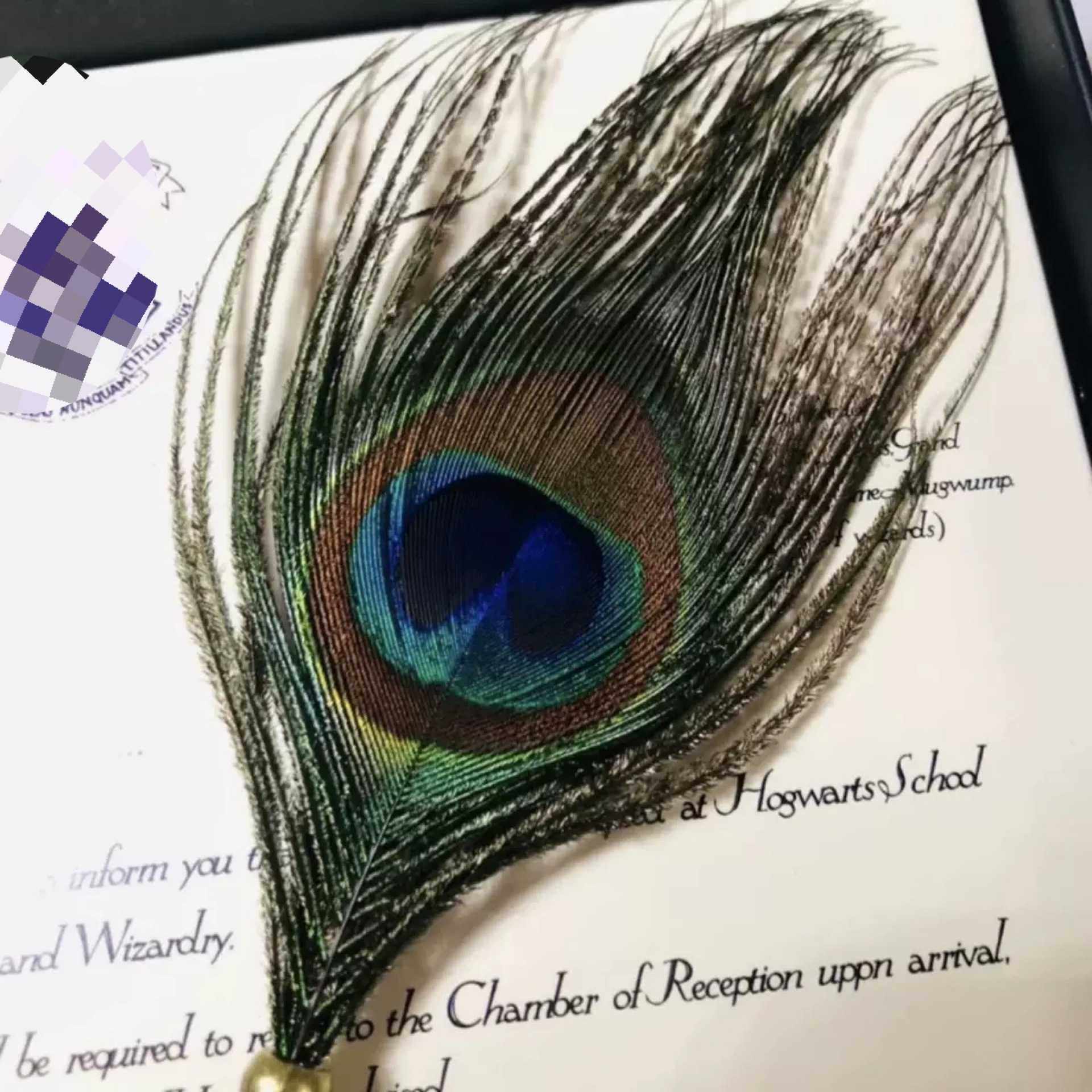 新款直销魔法学院孔雀羽毛笔套装蘸水笔礼盒猫头鹰钢笔复古礼品笔,家居饰品,壁饰,淘宝优惠券,粉丝福利购,淘宝优惠卷