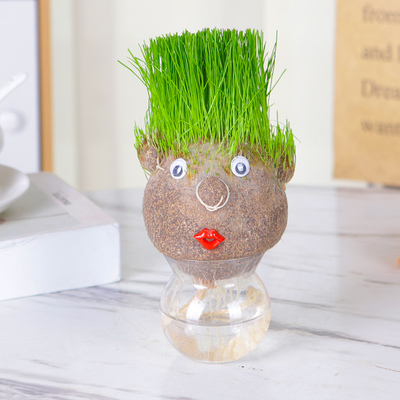 草头娃娃头上长草人小盆栽种植物浇水长头发迷你绿植儿童观察生长