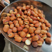 开口蚕豆炒蚕豆小龙眼豆原味盐炒酥脆蚕豆袋装 炒货豆子袋装