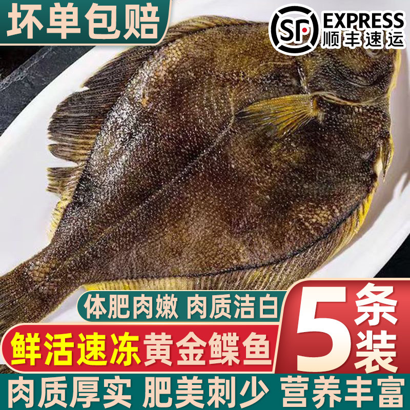 鲜冻鲽鱼整条带头冷冻海鲜新鲜黄金鲽鱼深海船冻营养丰富顺丰批发