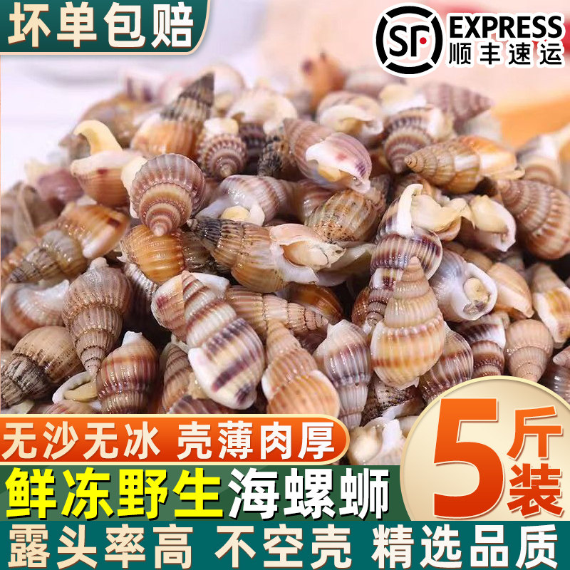 海螺丝海锥海瓜子鲜活速冻小号海螺蛳实惠商用批发螺类海鲜水产