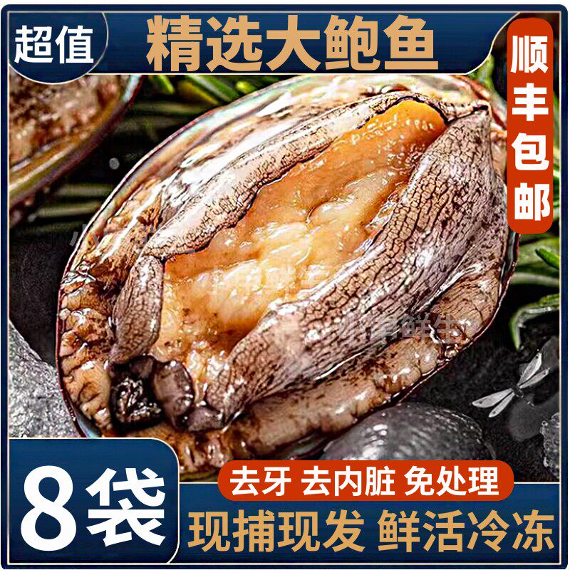 新鲜鲍鱼鲜活超大海鲜水产鲜活特大海捕冷冻鲍鱼捞汁饭6头大鲍鱼