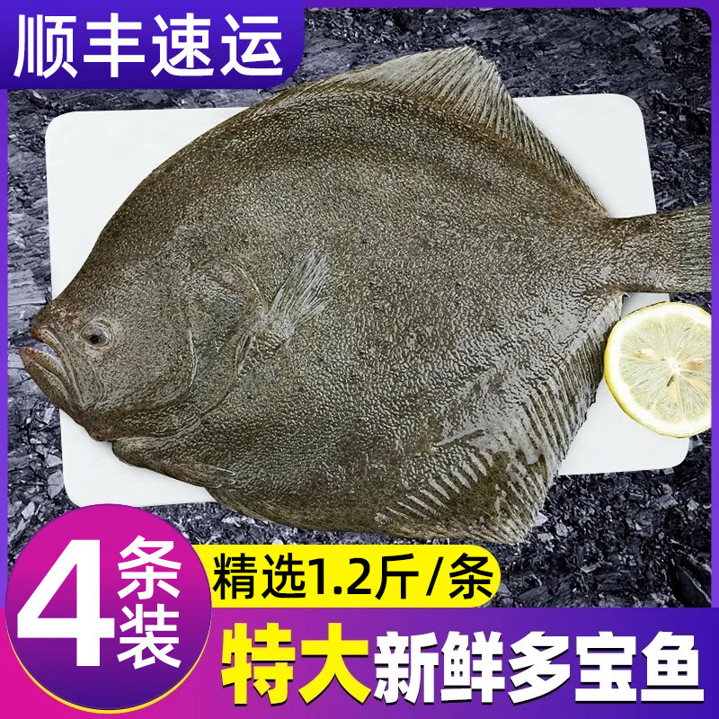 新鲜多宝鱼速冻比目鱼大菱鲆鲜冻海鲜鱼类批发包邮海鱼水产冷冻