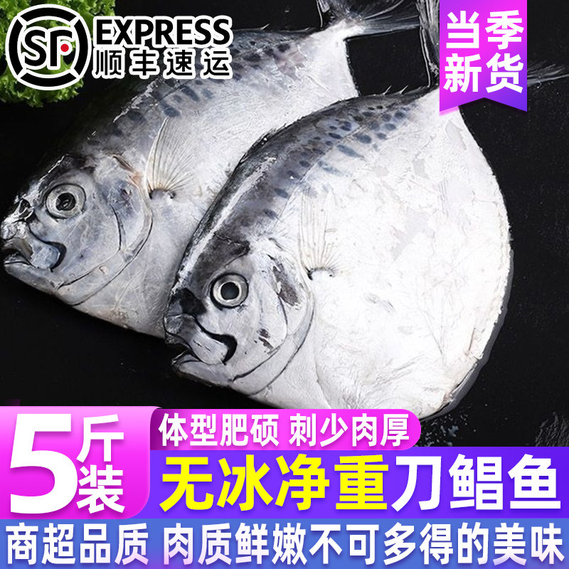 野生刀鲳鱼新鲜冷冻鲳鱼海捕东海平鱼国产海鲜水产海鱼批发一整箱