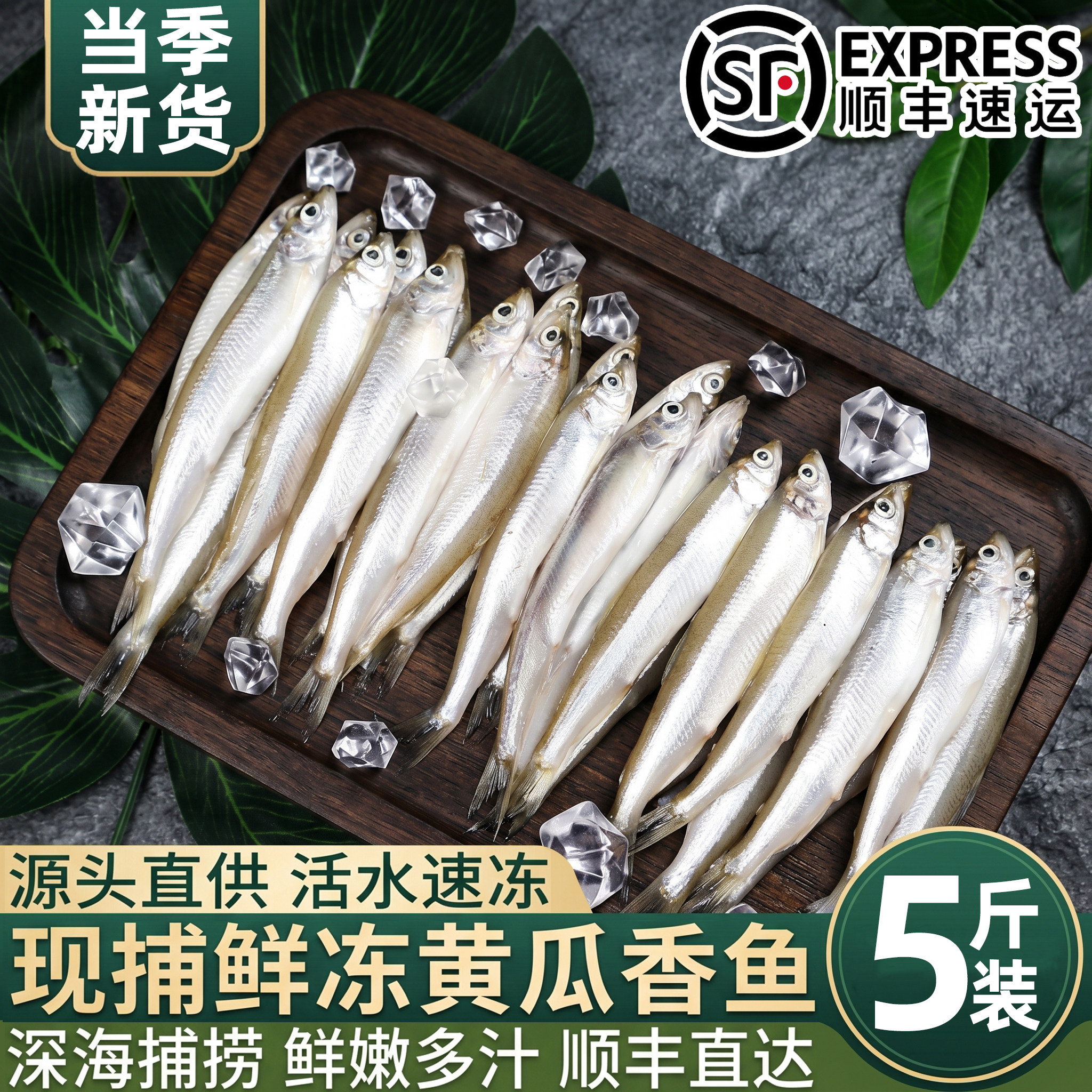 东北特产黄瓜香小公鱼速冻锁鲜