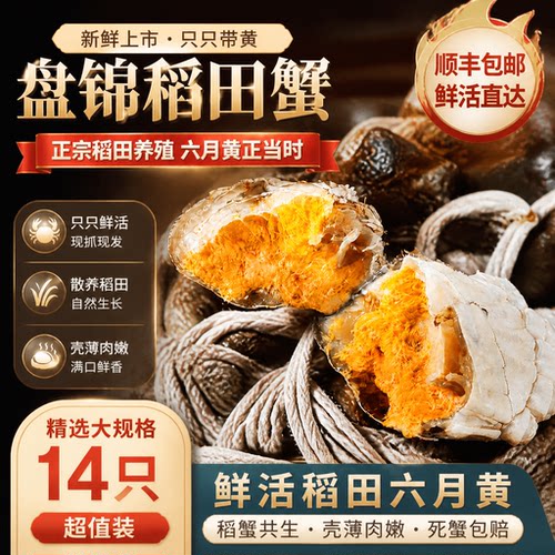 正宗六月黄螃蟹蟹黄满满产地直发鲜活蟹净重发货顺丰包邮死蟹包赔