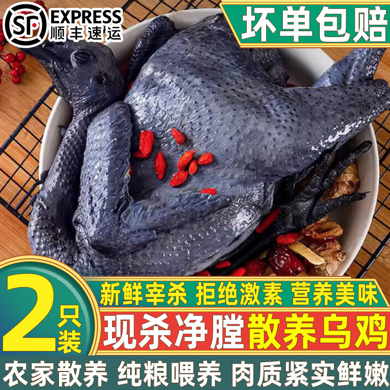 现杀新鲜净膛整只乌骨鸡煲汤